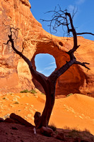 EAR OF THE WIND ARCH