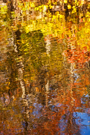 ABSTRACT REFLECTION 1