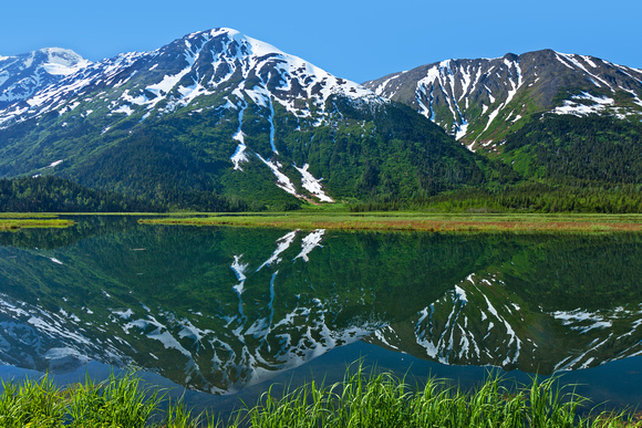 TERN LAKE