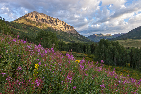 GOTHIC MTN. & FIREWEED