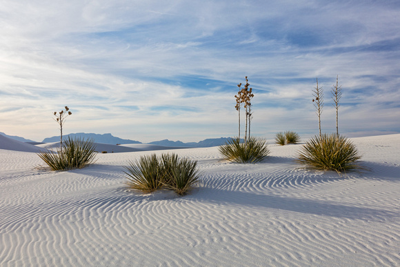 WHITE SANDS NM EVENING 1