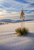 WHITE SANDS NM EVENING 2