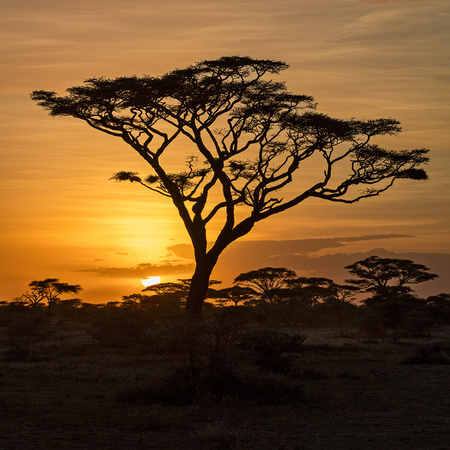 NDUTU SUNSET